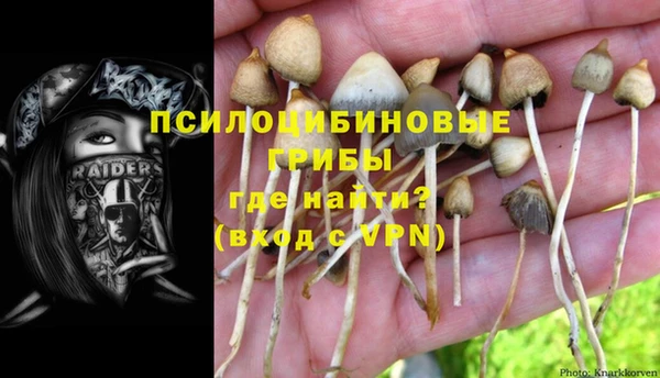 ALPHA-PVP Абинск