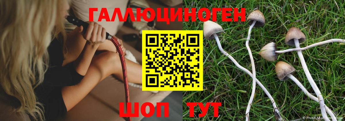 Псилоцибиновые грибы Psilocybine cubensis Урюпинск